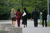 image of business people  - the business team go though a park in break - JPG 