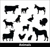 picture of animals  - farm animals silhouette - JPG 