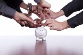 image of money  - Many hands saving money in the piggy bank - JPG 