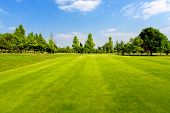 picture of golf  - Beautiful golf course - JPG 