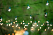 picture of outdoor  - Hanging decorative christmas lights for a back yard party - JPG 