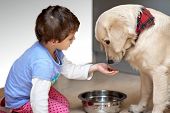foto of toddlers  - Cute child feeding his pet dog - JPG 