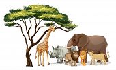 picture of animals  - Illustration of a group of african animals - JPG 