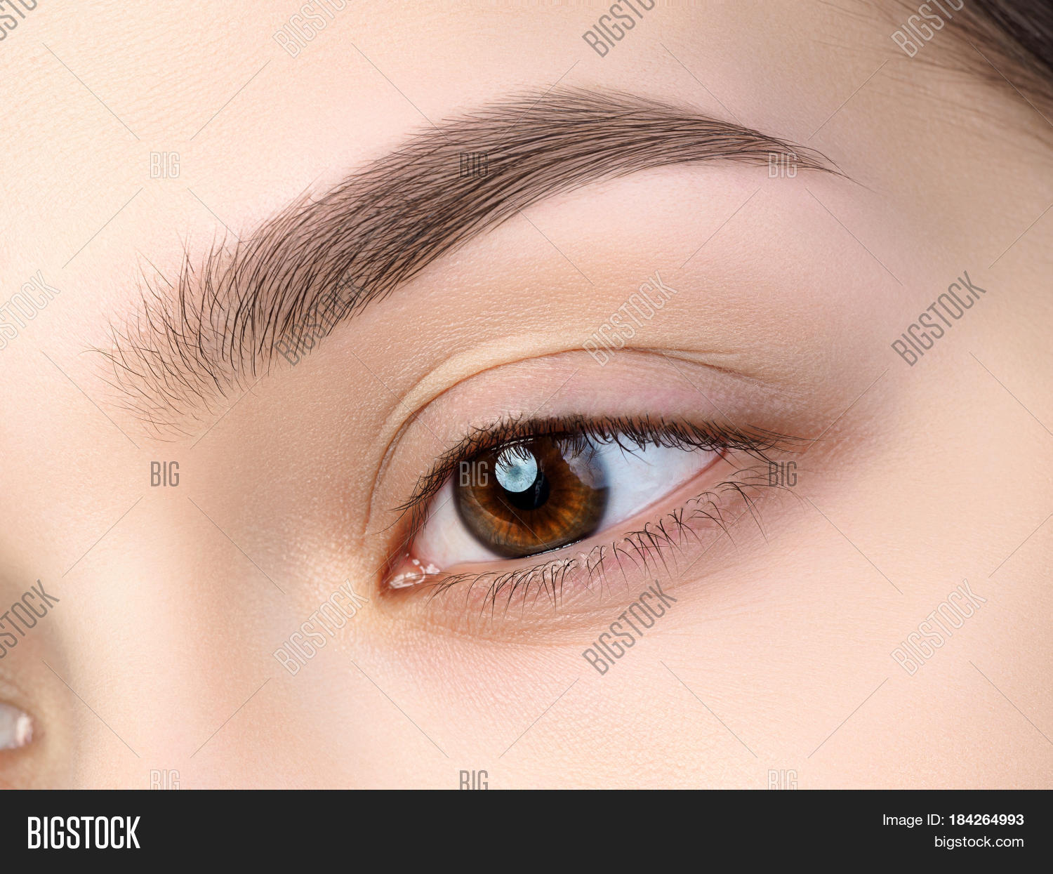 Дизайн бровей brow up