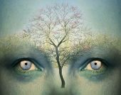 stock photo of surreal  - Beautiful artistic fantasy background representing a two human eyes and a tree - JPG 