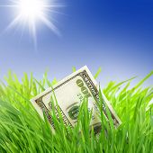 stock photo of blue sky  - Growing Money - JPG 