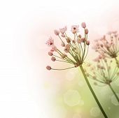 foto of nature  - Beautiful Nature Border - JPG 