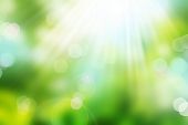 image of nature  - Beautiful Nature Bokeh - JPG 