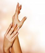 foto of beauty  - Beautiful Female Hands - JPG 