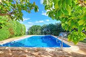 picture of outdoor  - Outdoor swimming pool with blue water near the garden - JPG 