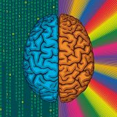 stock photo of neurology  - Differences between right and left cerebral hemispheres - JPG 