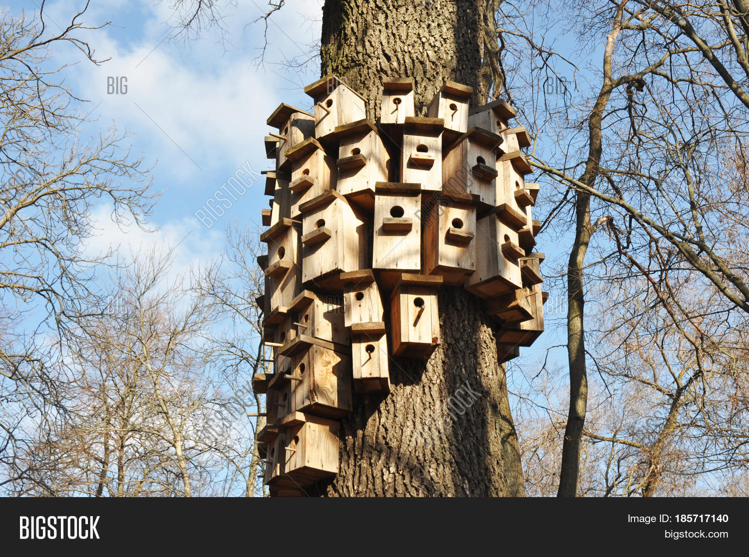 How Mount Birdhouse On Tree. Attach Image & Photo Bigstock