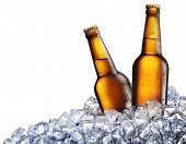 pic of ice  - Two bottles of beer on ice - JPG 