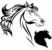 foto of horse  - horse head vector illustration  - JPG 