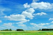 pic of blue sky  - green meadow and blue sky - JPG 