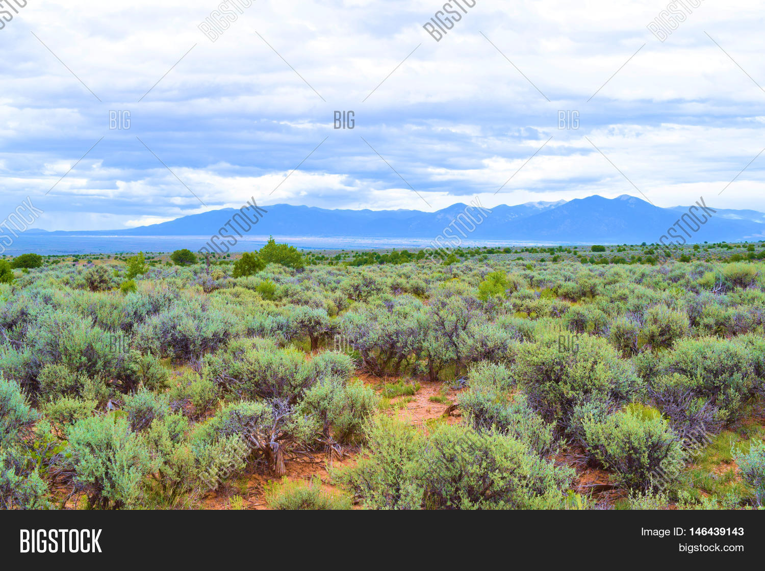 Desert Plateau Sagebrush Juniper Image & Photo Bigstock