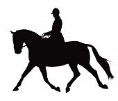 picture of horse  - A dressage fox hunting horse and rider with saddle and bit trotting out to the hunt - JPG 