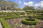 foto of bermuda  - Clipped boxwood hedges are part of the formal gardens in the Bermuda Botanical Gardens - JPG 