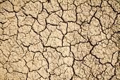 picture of earth  - Dry cracked earth background - JPG 