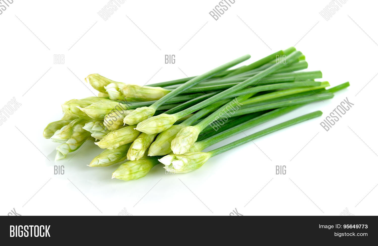Chives Flower Chinese Chive Image & Photo Bigstock