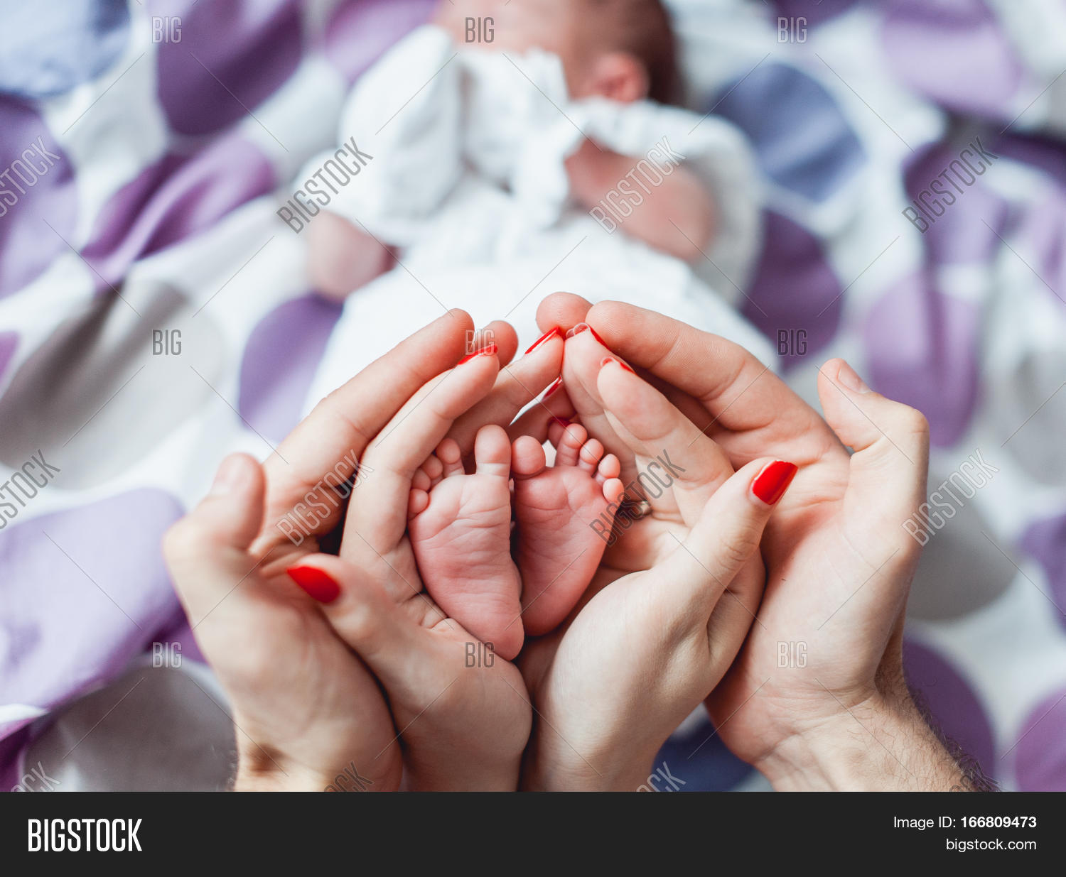 Baby feet in mother and father hands. Tiny Newborn Baby's feet on