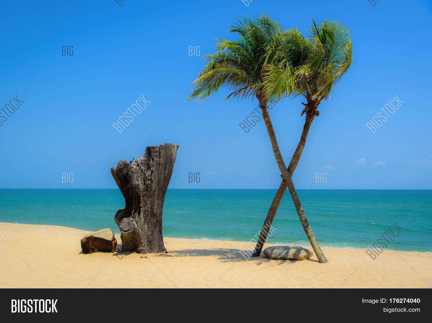 Two coconut palm tree cross on the tropical beach at daytime. Stock