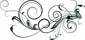 pic of outline  - Element of ornament - JPG 