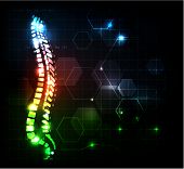pic of science  - Human spine abstract background - JPG 