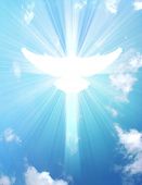 stock photo of blue sky  - shining dove with rays on a sky background - JPG 