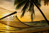 stock photo of beach  - Hammock silhouette with palm trees on a beautiful beach at sunset - JPG 