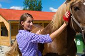 picture of horse  - Young woman in the stable with horse and caring - JPG 