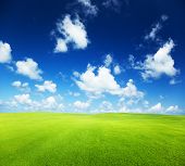 pic of blue sky  - field of grass and perfect blue sky - JPG 
