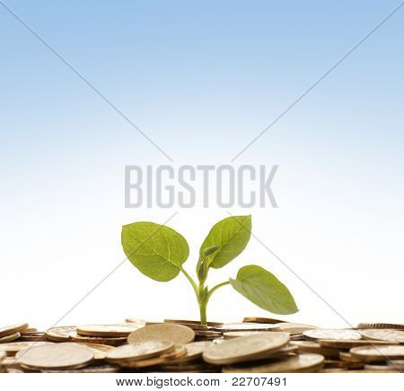 Picture or Photo of Money concept over blue background