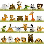 picture of animals  - cartoon animals  - JPG 
