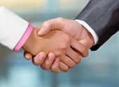 picture of handshake  - Image of partners handshake while striking deal - JPG 