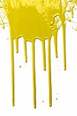 picture of drip  - Yellow paint dripping isolated over white background - JPG 