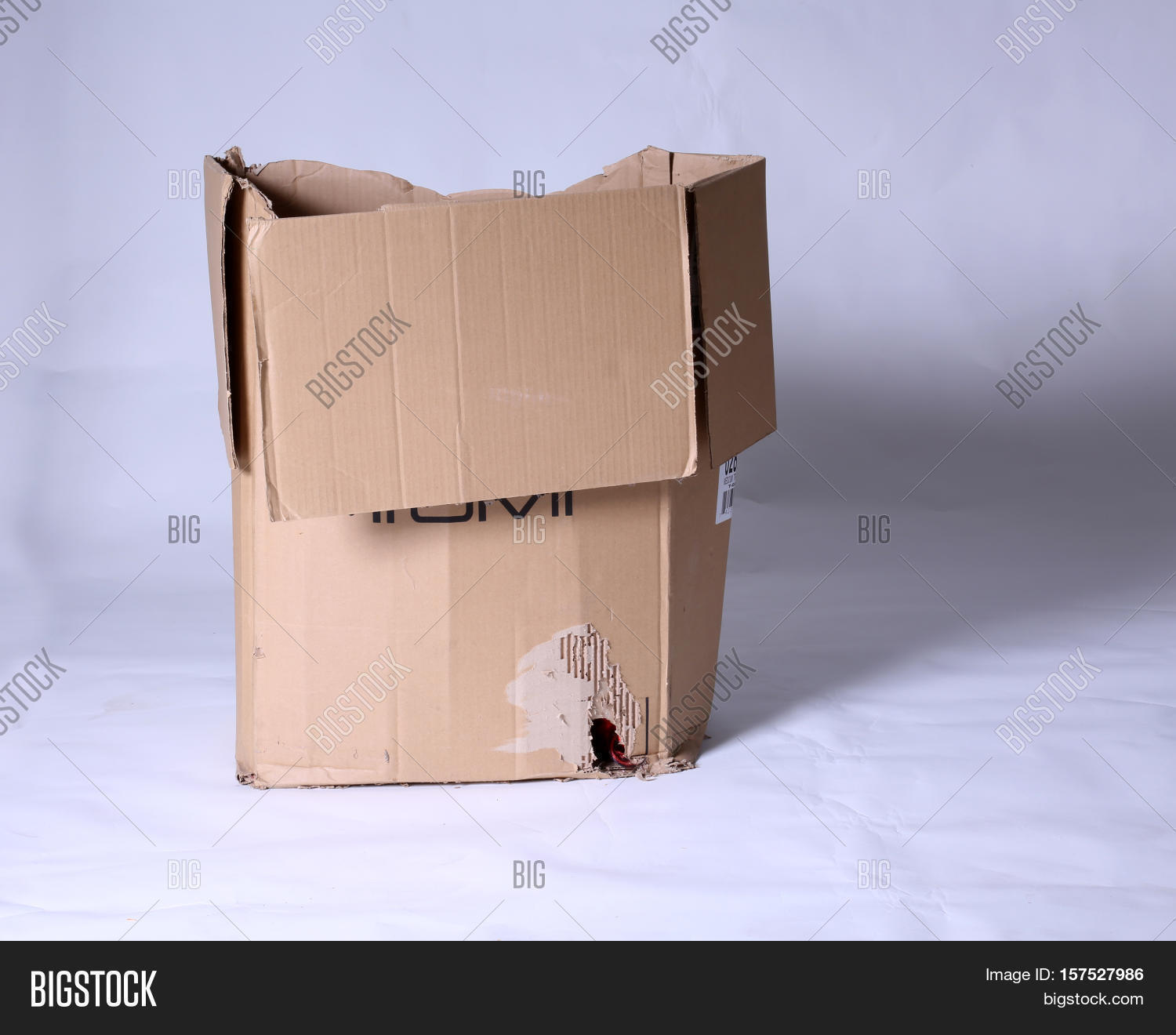 Mouse Rat House. Cardboard Box Hole Image & Photo Bigstock