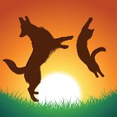stock photo of dog  - cat and dog jumping silhouettes - JPG 
