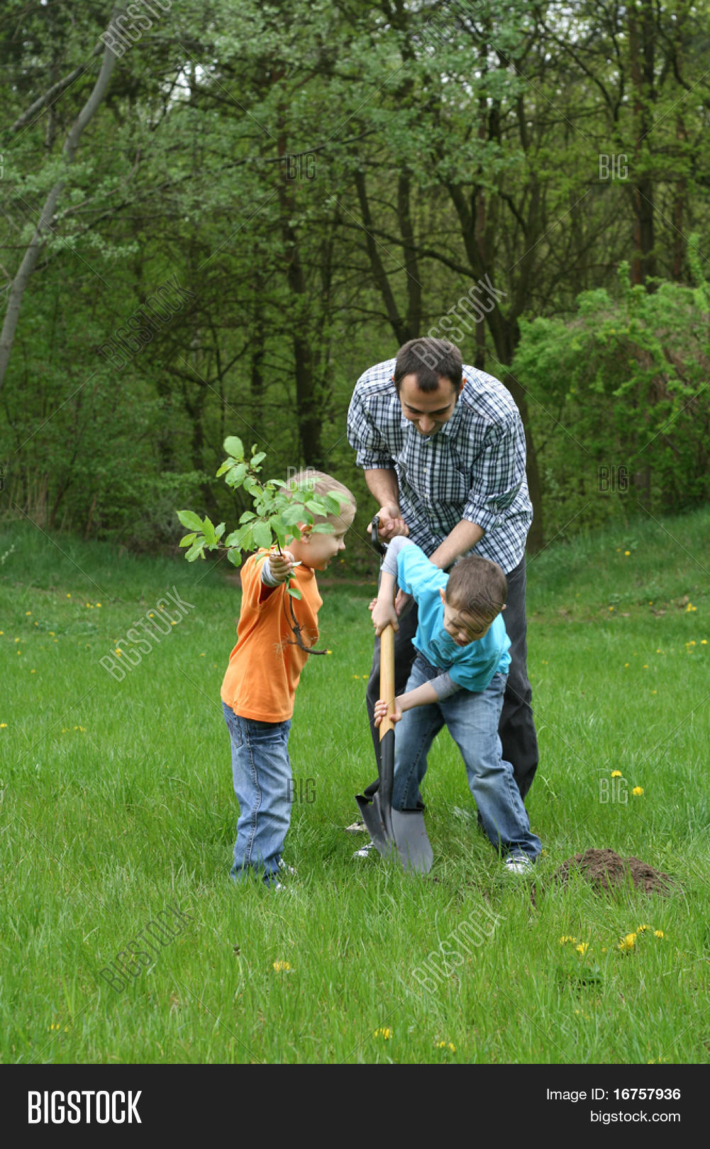 padre e hijos sembrar un árbol trabajando juntos Fotos stock e