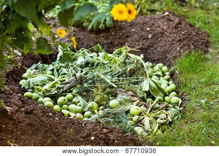 bio waste