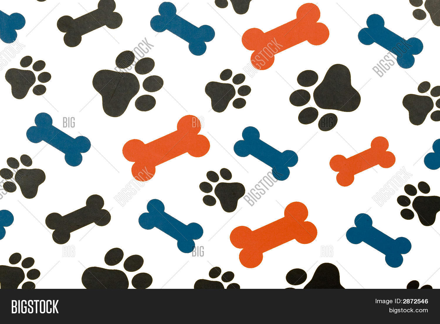 Pictures Of Large Dog Bones Pictures Of Large Dog Bones
