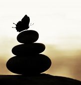 image of zen  - Image of zen balance still life - JPG 