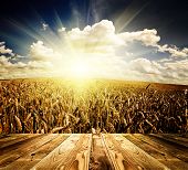 picture of interior  - wood textured backgrounds in a room interior on the sky backgrounds - JPG 