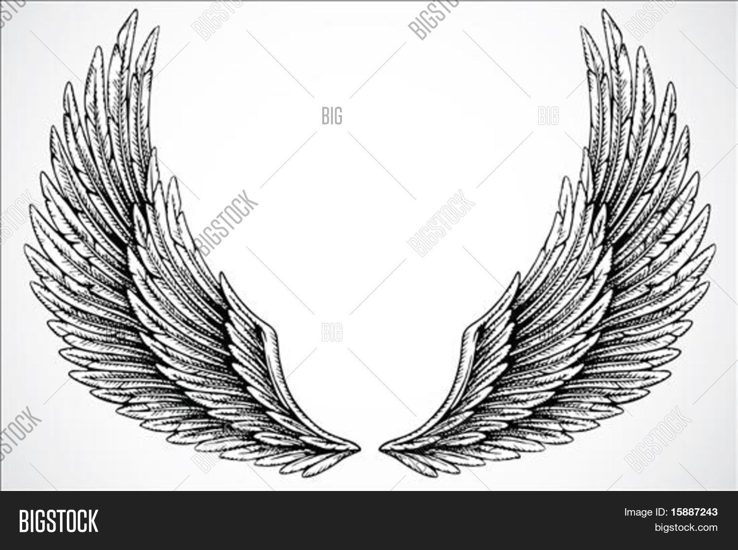 Set Illustrated Wings. Easy Edit Vector & Photo Bigstock
