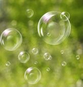 picture of nature  - Soap bubbles on green natural background - JPG 
