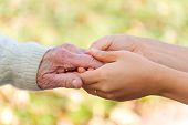 foto of hand  - Senior and young holding hands over green and brown leaves background - JPG 