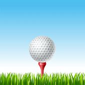 foto of golf  - vector illustration of Golf ball on a tee on a grass - JPG 