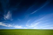 foto of sky  - green grass and blue sky - JPG 