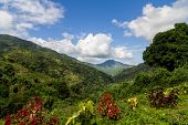 picture of valley  - Overlooking a valley in the Blue Mountains of Jamaica
 - JPG 