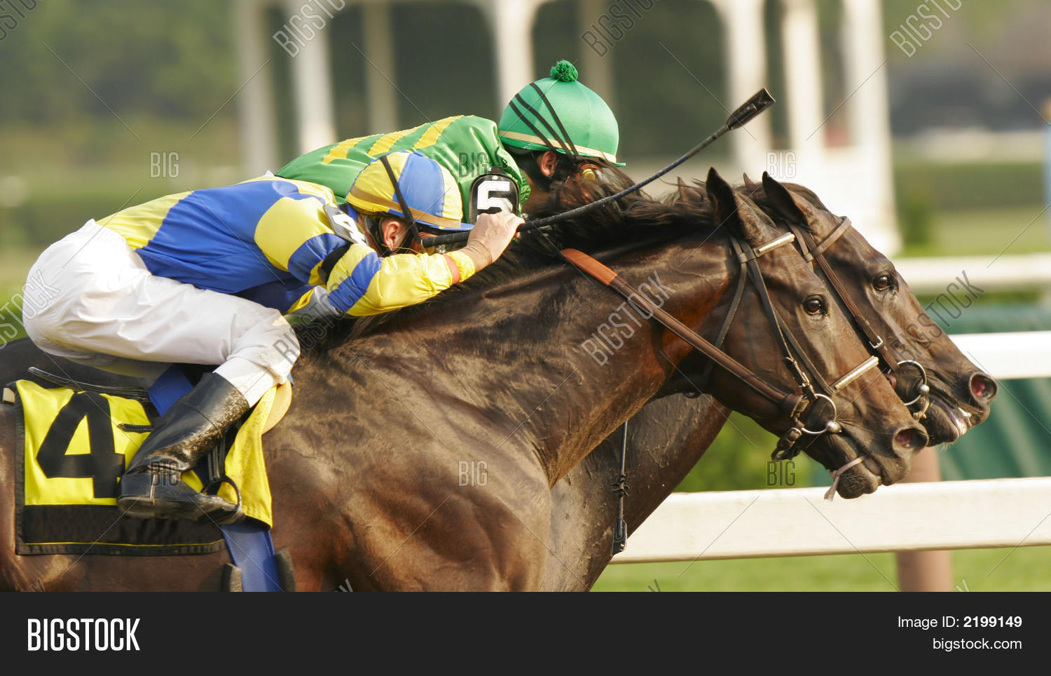 Neck Neck Horse Race Image & Photo Bigstock